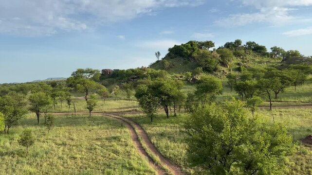 Winding dirt paths cutting through lush greenery with a rocky hills called kopjes in Serengeti National Park.