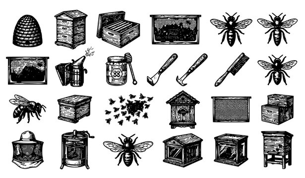 Vintage beekeeping wooden hive sketch collection with bees honeycomb and apiculture engraving vector illustration