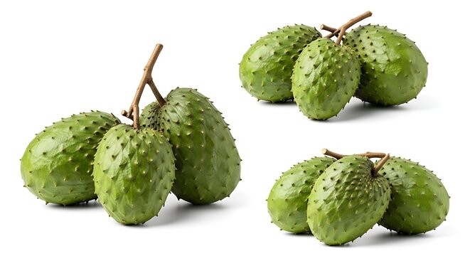 Fresh green ackee fruits on branches.