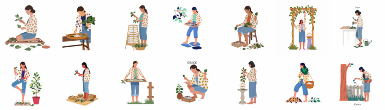 Flat illustration set depicting various stages of traditional silk production, featuring a woman gathering mulberry leaves and caring for silkworms.