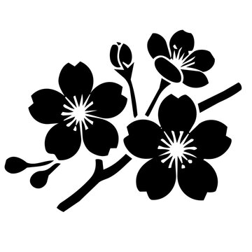 cherry blossom icon
