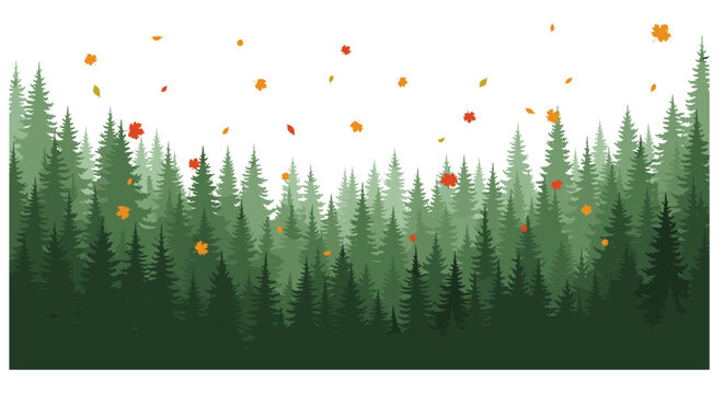 Vector illustration of a forest with falling autumn leaves landscape woodland illustration wilderness evergreen outdoors background