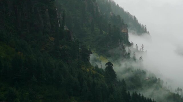 Dramatic stormy weather over a lush green mountain after heavy rain in Manali, Himachal Pradesh, India. Clouds in forest. Nature background.