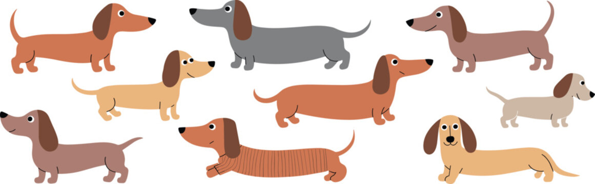 Dachs Images – Browse 3,880 Stock Photos, Vectors, and Video