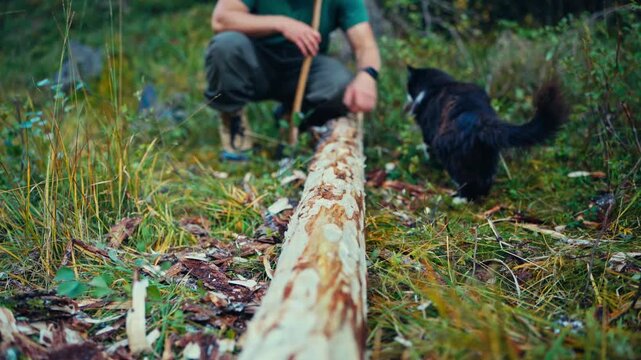 A Man is Removing the Bark From a Fallen Tree Trunk While a Cat Stands Nearby in a Grassy, Forested Area - Defocused Shot