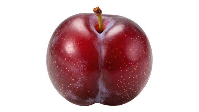 Single ripe plum with stem and speckles