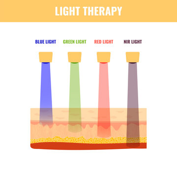 LED light therapy skin depth chart with colored beams, infrared and tissue penetration vector illustration.