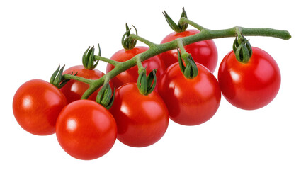 Ripe red cherry tomatoes on green vine © Sarah