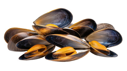 Opened Mussels with Orange Flesh and Dark Shells © Johanna