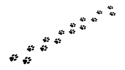 Black paw prints in a diagonal line on white background going up  animal footprints © PROHALLAD SARKAR  SA