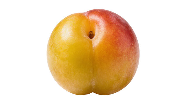 Ripe yellow and red plum fruit with stem indent