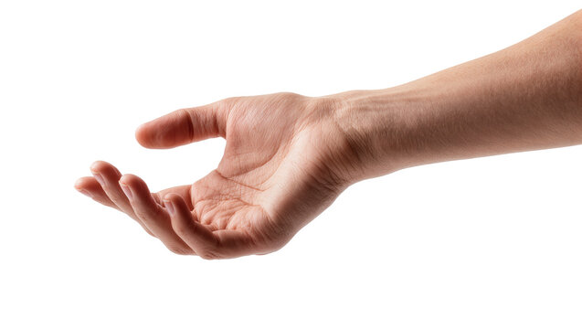 Open human hand reaching out palm up, fingers slightly curled
