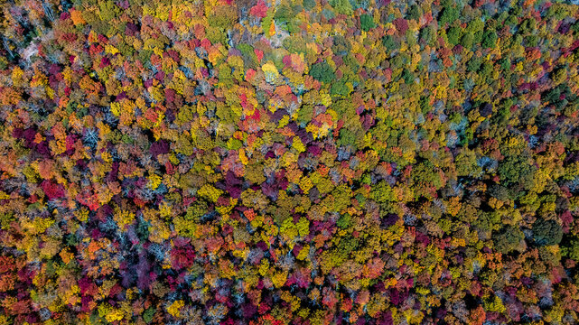 Aerial View Of The Changing Of The Leaves In The North Carolina Mountains