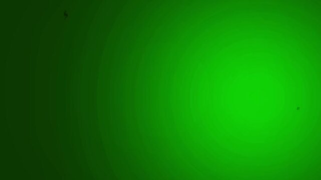 Green background displays a solid vibrant hue with a slight radial gradient effect providing a clean backdrop for digital design projects.