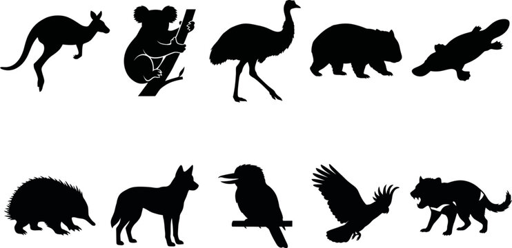 Black silhouettes of various australian animals on white background