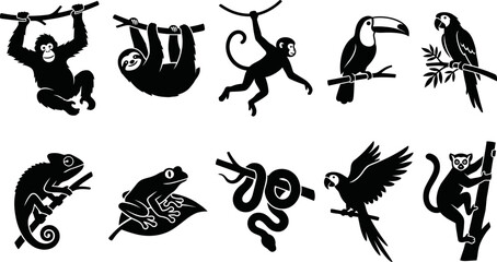 Black silhouettes of various jungle animals on white background  monkey sloth toucan parrot lizard frog snake bird lemur © SAYEDAJANNATUL