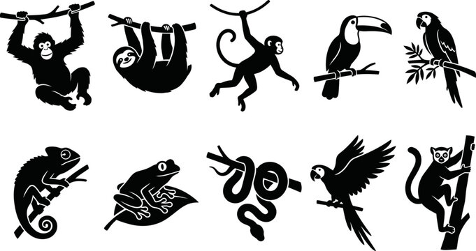Black silhouettes of various jungle animals on white background  monkey sloth toucan parrot lizard frog snake bird lemur