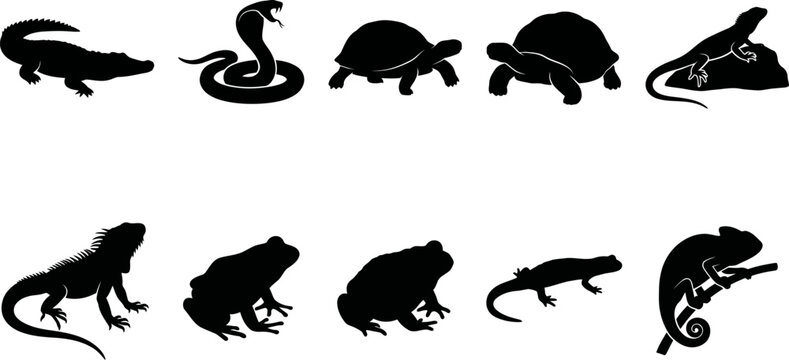Black silhouettes of various reptiles and amphibians on white background
