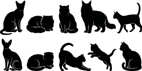 Collection of black cat silhouettes in different poses and positions © SAYEDAJANNATUL