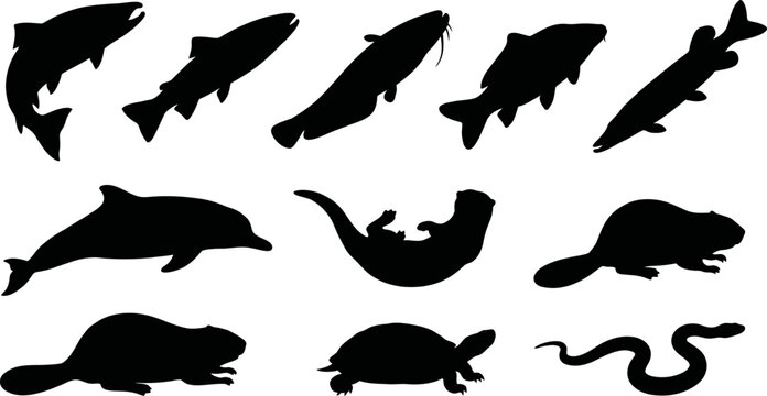 Collection of various animal silhouettes on white background