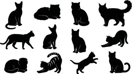 Set of black silhouette cats in various poses and movements on white background © SAYEDAJANNATUL