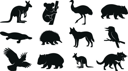 Set of black silhouettes of various Australian wild animals    kangaroo  koala  emu  wombat  platypus  quokka    dingo  kookaburra  eagle  wombat  wallaby  tasmanian   devil on white background © SAYEDAJANNATUL