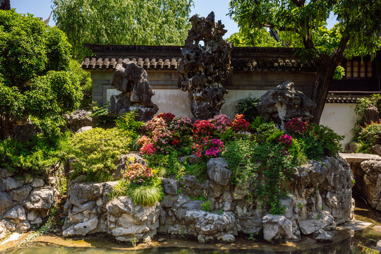 This is the Exquisite Jade Rock (Yulinglong) located in Yu Garden. The rock is surrounded by traditional landscaping typical of the Ming Dynasty garden style, Shanghai, China.
