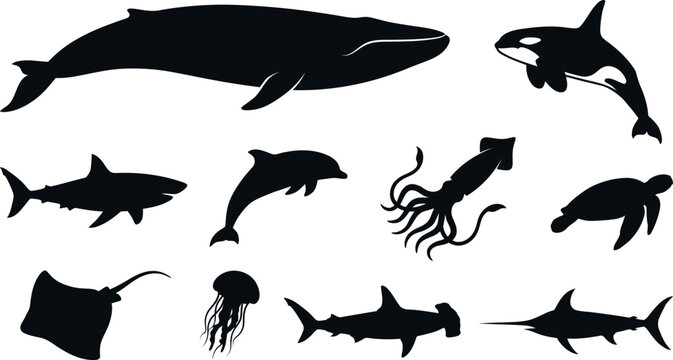 Set of sea animals silhouettes including whale shark dolphin squid turtle ray jellyfish
