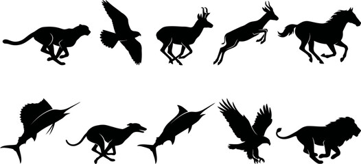 Silhouettes of various animals running and flying in different poses and directions together © SAYEDAJANNATUL