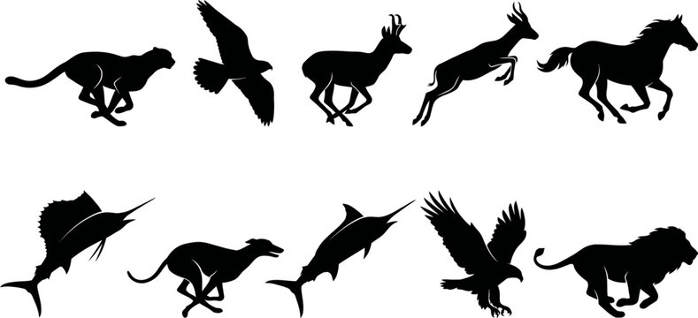 Silhouettes of various animals running and flying in different poses and directions together