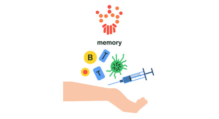 Immunization Concept: Memory Cells, B Cells, T Cells, and Vaccine Injection © Joko
