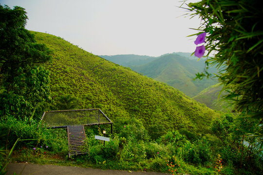 View of the meadows of Vagamon