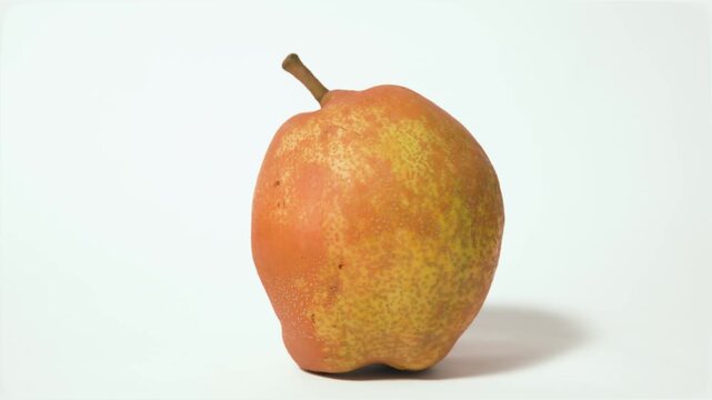 Single ripe pear fruit (Pyrus communis) isolated on white background, studio shot with tilt down camera movement, video recorded in 60fps and 4K quality