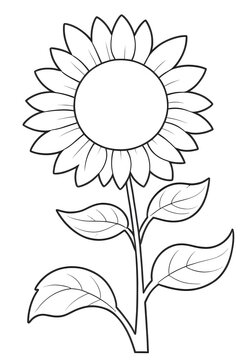 Beautiful sunflower line art illustration, isolated floral coloring sheet on white background, Simple sunflower coloring page, black and white outline vector