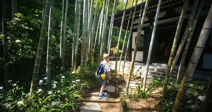 Child Walking Stone Path Through Bamboo Grove Toward Traditional Building - Steady Cam Shot