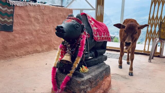 Ancient stone idol of Nandi decorated with floral garlands and a ceremonial cloth, accompanied by a young calf in a traditional Hindu temple. The devotional setting reflects India's rich spiritual 