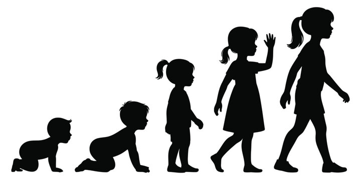 Child development silhouettes vector illustration showing progression from crawling baby to walking child isolated on transparent background.