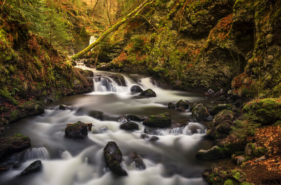 Ruisseau des cascades de Chiloza en hiver/France, Massif Central (63), Auvergne, Puy de Dome
