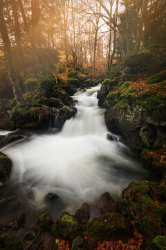 Cascades de Chiloza en hiver. Les cascades de Chiloza se succ&egrave;dent sur la couze Pavin, torrent venant du Lac Pavin/France, Massif Central (63), Auvergne, Puy de Dome