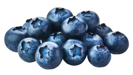Heap of fresh blueberries with visible star-shaped calyx © Lisa