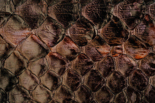 Python skin leather texture with natural snakeskin scale pattern and glossy exotic surface