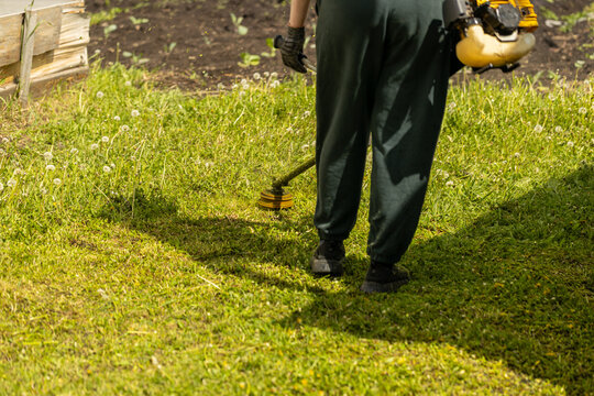 Individual in dark green pants and gloves using a string trimmer to maintain grass in a garden area with dandelions and wooden fence in the background
