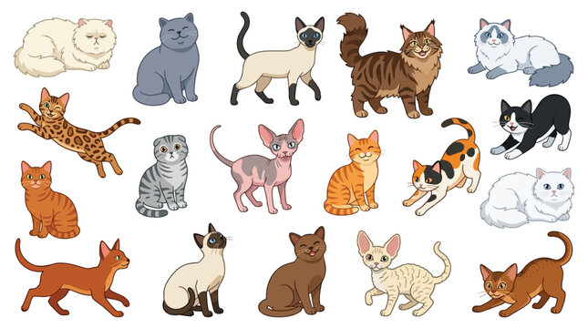 A diverse collection of cat breeds illustrated in a cartoon style, showcasing various colors and poses.