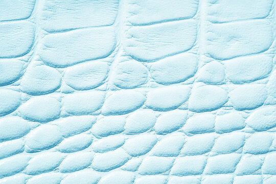 Close up reptile skin texture detail light blue surface