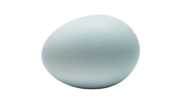 Pale blue egg with textured shell