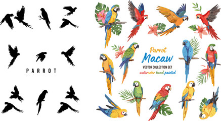 Fototapeta premium Parrot Macaw Watercolor and Silhouette Collection Vector Set Featuring Colorful Tropical Birds with Flowers and Leaves on Gray Background