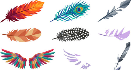 Fototapeta premium Colorful Bird Feather and Wing Vector Set with Peacock Geometric Polygonal Styles for Nature and Decorative Design