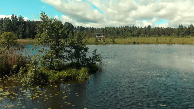 lake in the forest