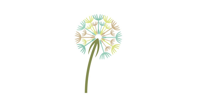 dandelion flower vector illustration botanical nature flora
