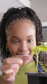 Vertical video: Lifting black seed tray, woman bringing close to face, man checking seedling growth